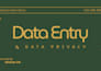 do professional virtual , copy paste work and data entry